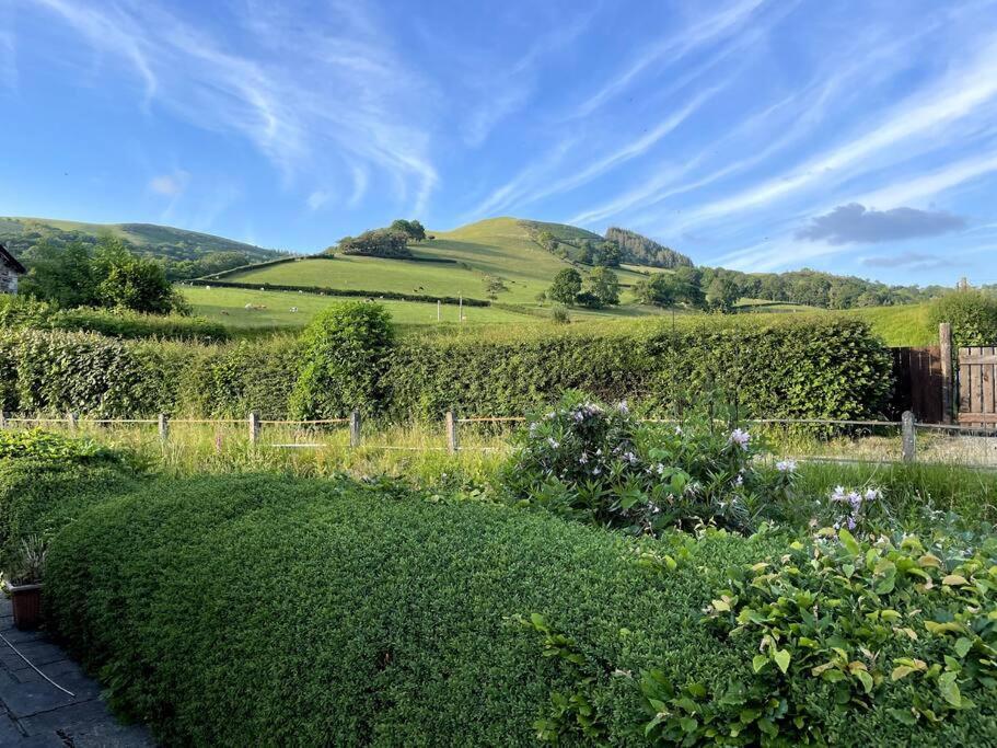 Y Felin Bed And Breakfast And Smallholding Caersws Zewnętrze zdjęcie