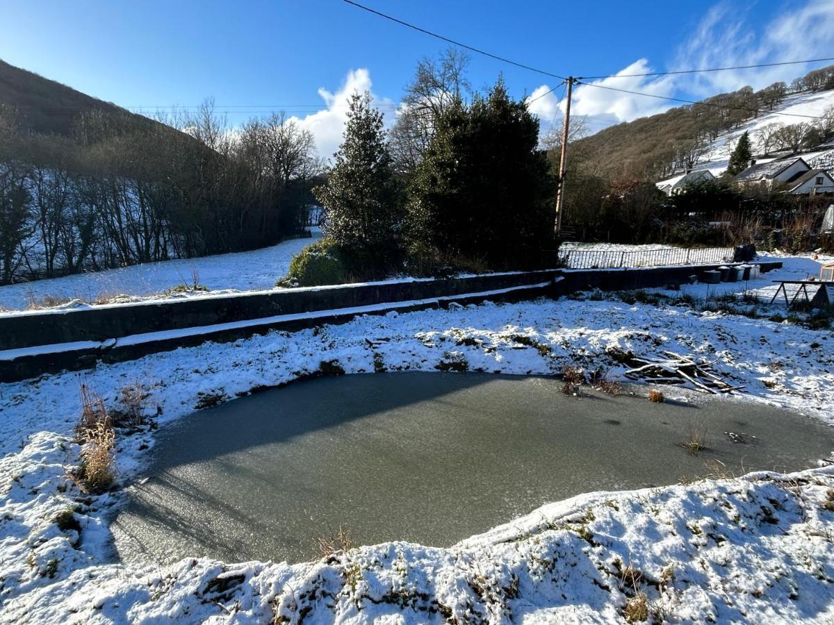 Y Felin Bed And Breakfast And Smallholding Caersws Zewnętrze zdjęcie